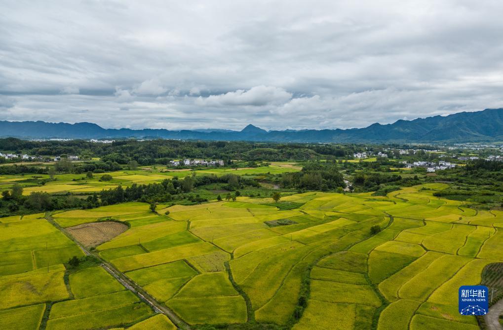 金山365在线